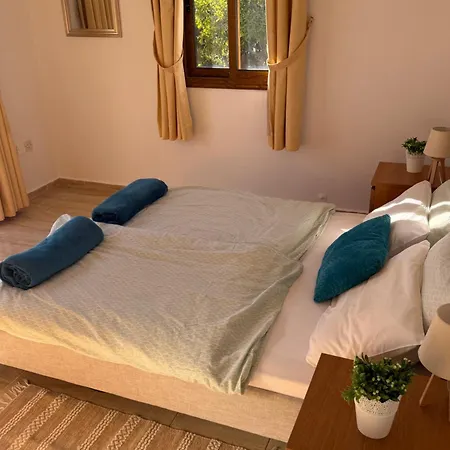 4-bedroom With Private Pool & Citrus Garden Pegeia