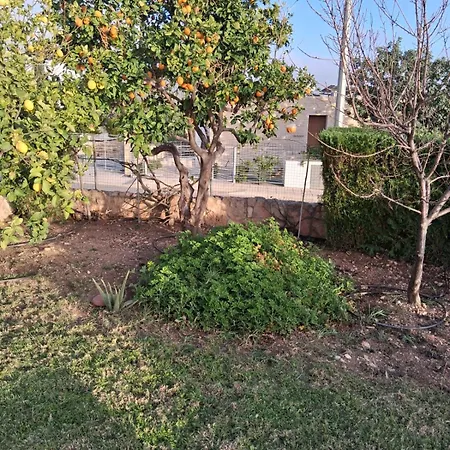 4-bedroom With Private Pool & Citrus Garden Vila