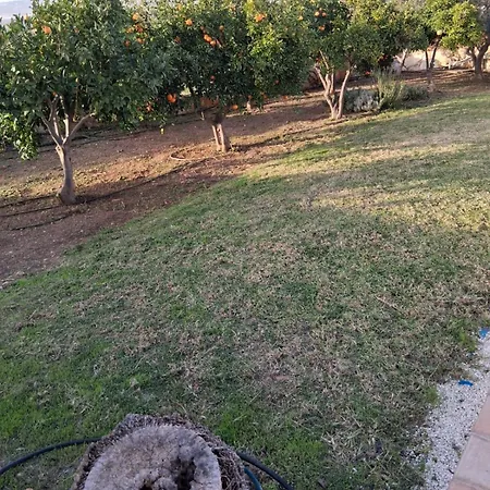 Vila 4-bedroom With Private Pool & Citrus Garden Pegeia